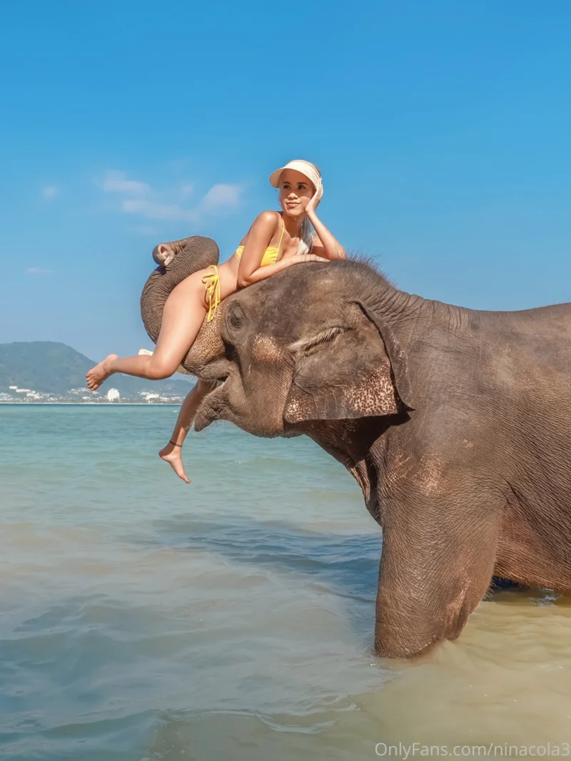 Flirty Nina cola in yellow bikini riding an elephant in shallow water